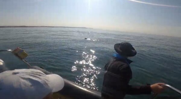 Seal sighting🦭